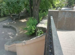 Огородить опасный обрыв в парке Горького, пока не погибли дети, требует взволнованный ростовчанин