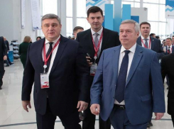 Власти Ростовской области рады инвестициям богатейших семей США