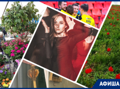 Любуемся тюльпанами Шренка, болеем за «Ростов» и учимся понимать женщин: куда пойти в Ростове на этой неделе