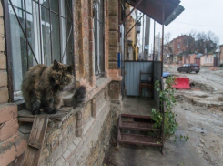 Ростовчане утопают в грязи и «ломают ноги» в самом центре столицы