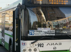 Власти Ростова хотят запустить новый маршрут от гребного канала до зоопарка