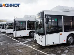 Часть СНТ Ростовской области останутся без автобусов