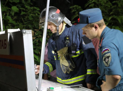 В Ростовской области назвали причины крупных пожаров