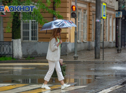 Ростовскую область на три дня накроют ливни и сильный ветер 