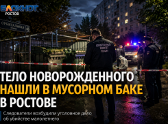 В мусорном баке на Орбитальной в Ростове нашли труп новорожденного ребенка