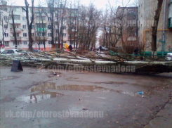В Ростове огромный тополь упал на детскую площадку