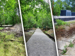 Силовики занялись проверкой благоустройства парка «Дружба» в Ростове