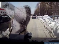 Водители просят ростовчан снимать капюшоны, переходя дорогу