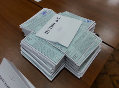 Наблюдатели о выборах в Ростове: «Нам теперь понадобится помощь психологов»