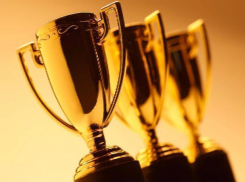 Лучших людей региона в 2016 году назвали в Ростове