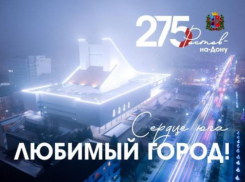 В Ростове-на-Дону ко Дню города разработали брендбук и концепцию оформления улиц