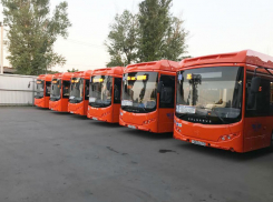 На три ростовских маршрута вышли новые автобусы с кондиционерами  