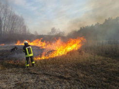 О чрезвычайной пожароопасности предупредили спасатели жителей Ростовской области