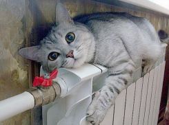 В Ростове с 15 октября стартует отопительный сезон