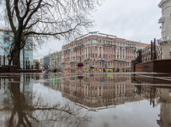 В Ростове пойдет дождь и подует сильный ветер