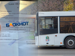Полиция разыскивает в Ростове напавшего на инвалида в автобусе злоумышленника
