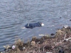 Труп молодого мужчины принесло течением к отдыхающим на берегу Дона в Ростовской области
