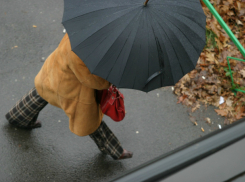 Согретый ласковым солнцем проливной дождь затопит дороги Ростова в последний день ноября