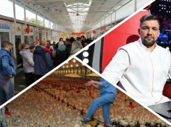 НеCOVIDные новости:  главные события в Ростове за прошедшую неделю