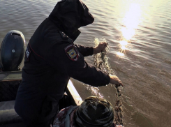 Участковые из Миллеровского района осуждены за инсценировку вылова карасей, сазана и раков