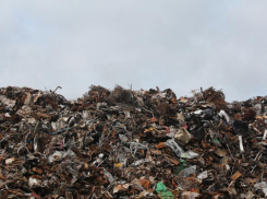 Прокуратура заставила власти Ростова убрать две свалки