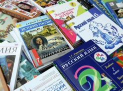 Губернатора Ростовской области попросили выделить 1 млрд рублей на новые учебники
