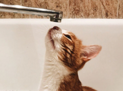 Октябрьский район Ростова останется без холодной воды 19 июня 