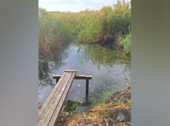 В Каменском районе утонул 9-летний мальчик