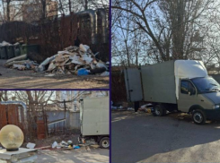 Борьба с серыми возчиками: в Ростове-на-Дону стартовала «Видеоохота на нарушителей»