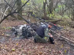 У погибшего с ростовчанкой пилота в Адыгее не было прав на управление мотодельтапланом 