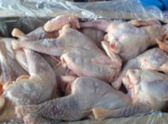 17 тонн опасного куриного мяса попытался провезти на Украину дальнобойщик из Ростовской области