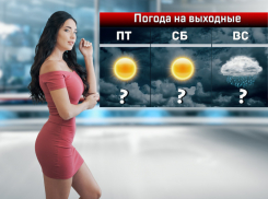 В Ростове-на-Дону на выходных пойдет дождь