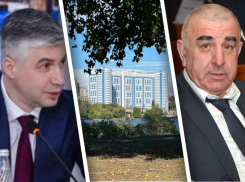 Бизнес, которому можно почти все: что известно о возможном застройщике рощи на левом берегу в Ростове