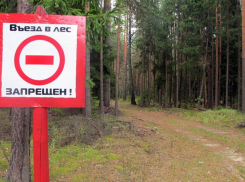 Власти Ростовской области объяснили запрет на охоту и посещение дач