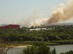 В районе ТЦ «Мегамаг» вспыхнул камыш