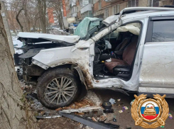 В Ростове 17-летний подросток на внедорожнике врезался в дерево