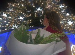 В Ростове главную городскую елку откроют 29 декабря