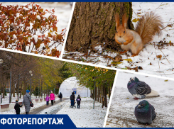 В Ростове-на-Дону выпал первый снег: детвора, автомобилисты и суета