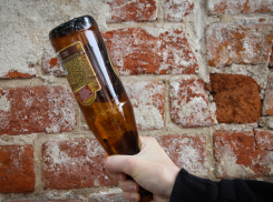 За избиение полицейского бутылкой в отношении батайчанина возбуждено дело 