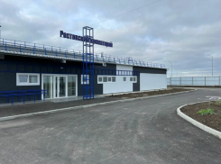 Жители продолжают страдать от запаха и смога ростовского крематория