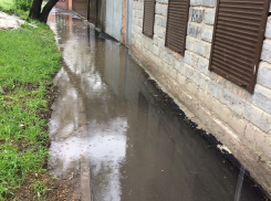 Пешеходная дорожка в Ростове после ремонта превратилась в болото