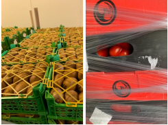 В Ростовской области уничтожили девять тонн киви и болгарского перца