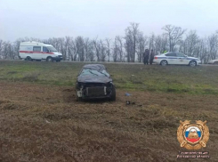 Водитель погиб при опрокидывании автомобиля в Ростовской области