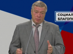 Губернатор Голубев вновь предложил жителям Ростовской области решить судьбу 500 млн рублей