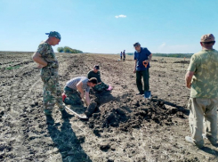 Останки четырех красноармейцев обнаружили во время экспедиции в Ростовской области
