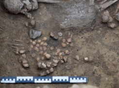 На Нижнем Дону обнаружили древнюю игру — предшественницу шахмат 