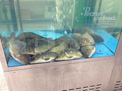 «Уснувшая в пятницу» рыба в гипермаркете отбила аппетит у ростовчан