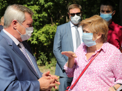 Василий Голубев поручил ускорить возврат рощи СКА в собственность города