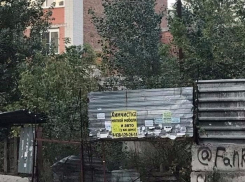 Амброзия, бездомные собаки и бомжи не дают спокойно жить женщине в Ростове 