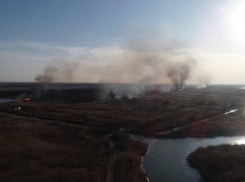 В Ростовской области за сутки произошел 21 ландшафтный пожар